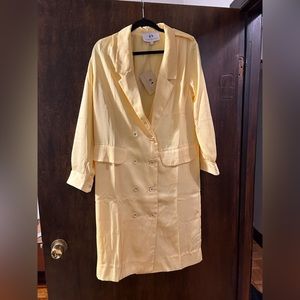 The Bright Side by Rocky Barnes dress